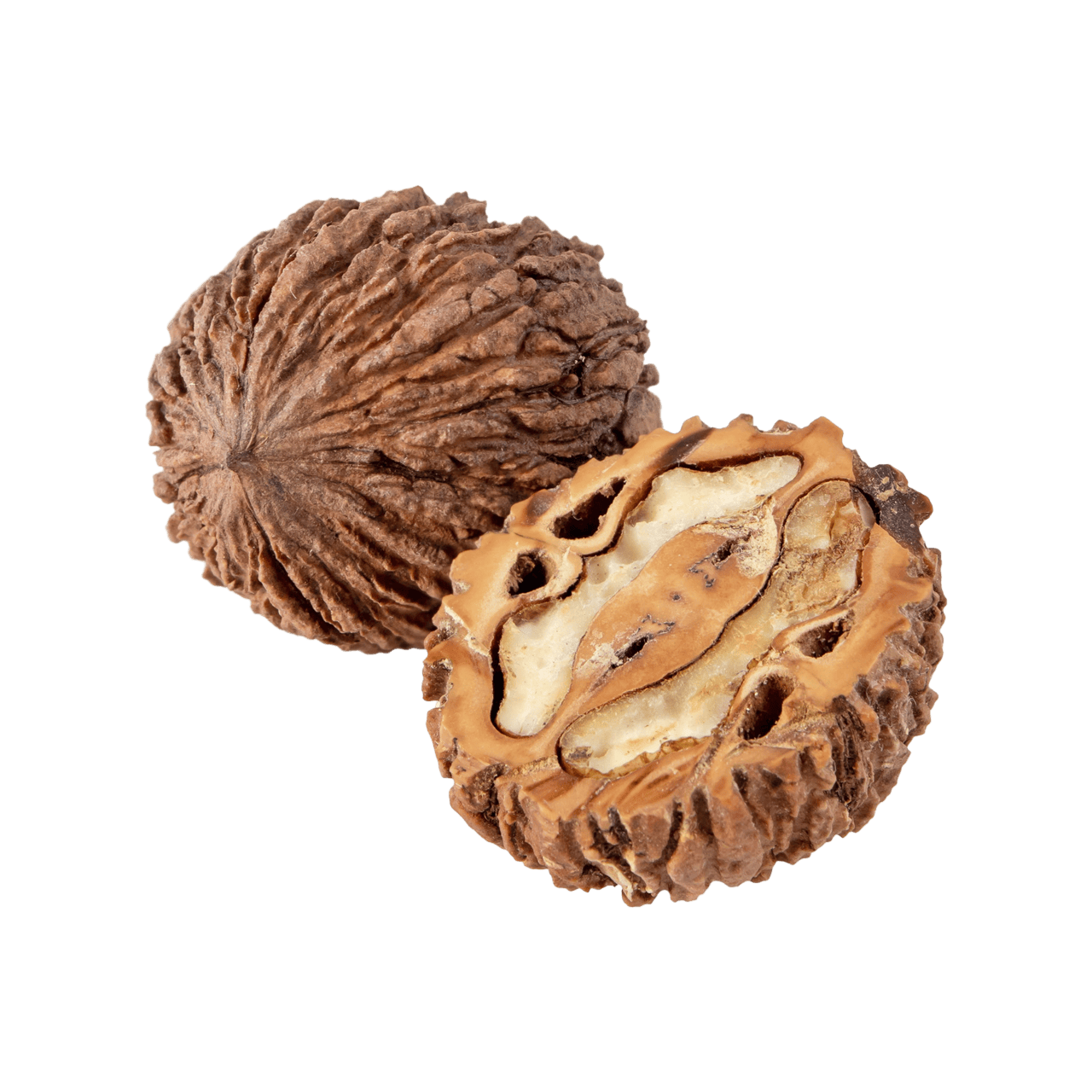 Black Walnut