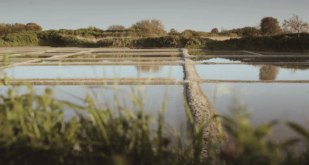  How Traditional Celtic Sea Salt Is Made