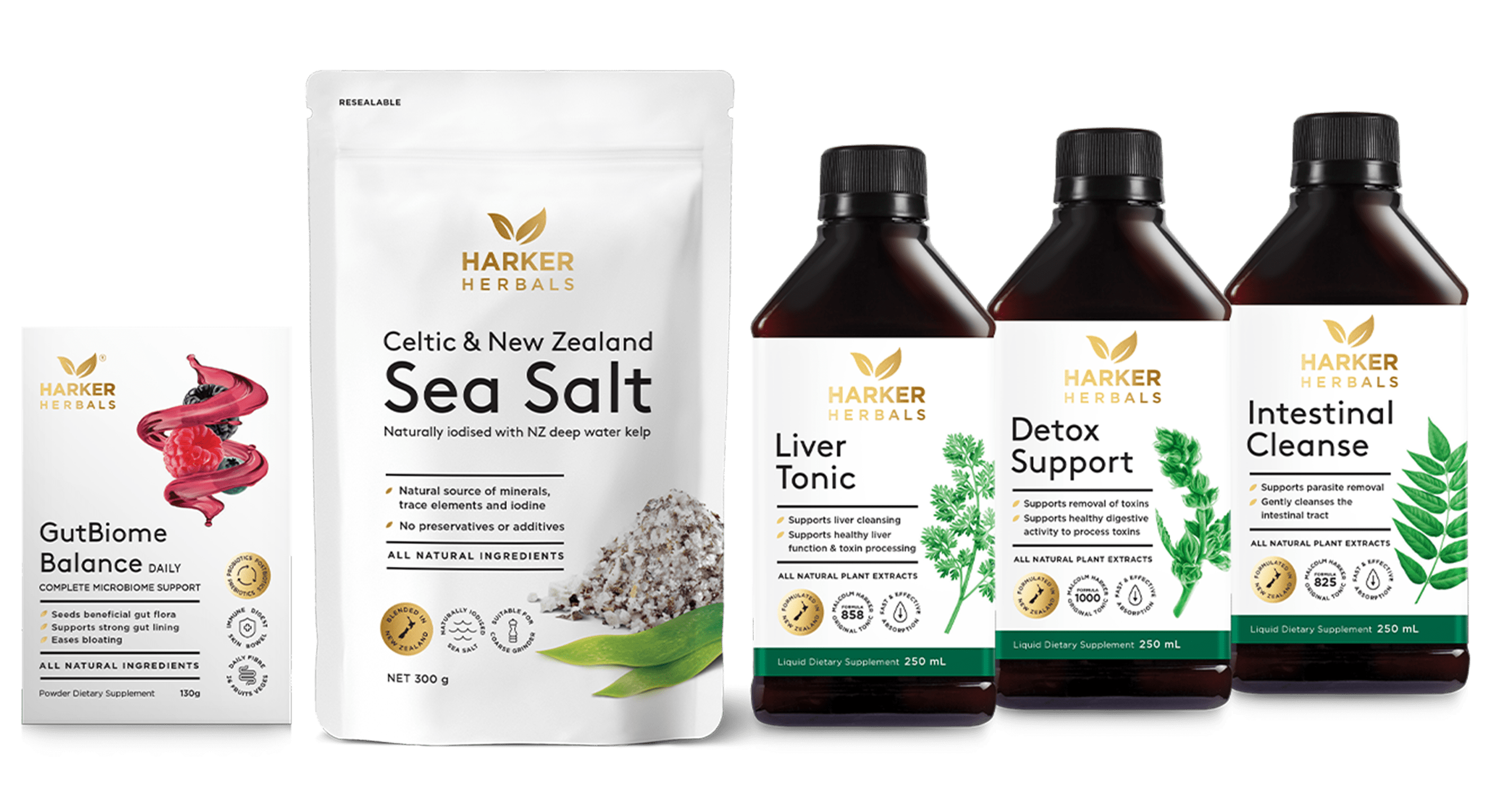 Gut Health & Digestion