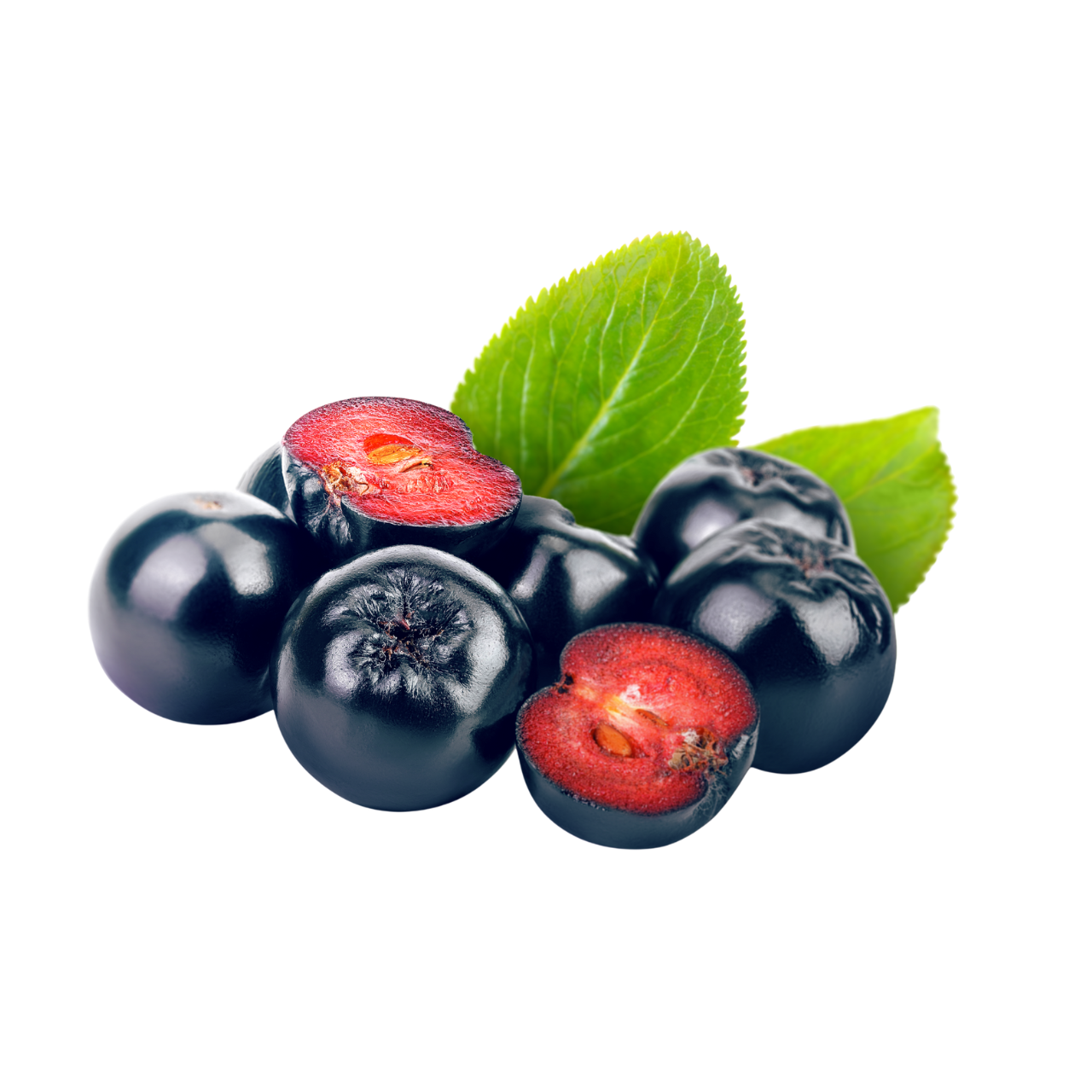 Aronia Berry 