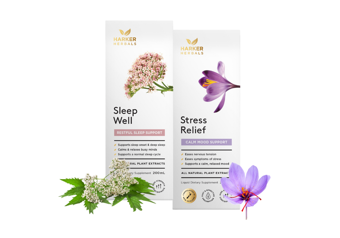 Calm Day, Restful Night