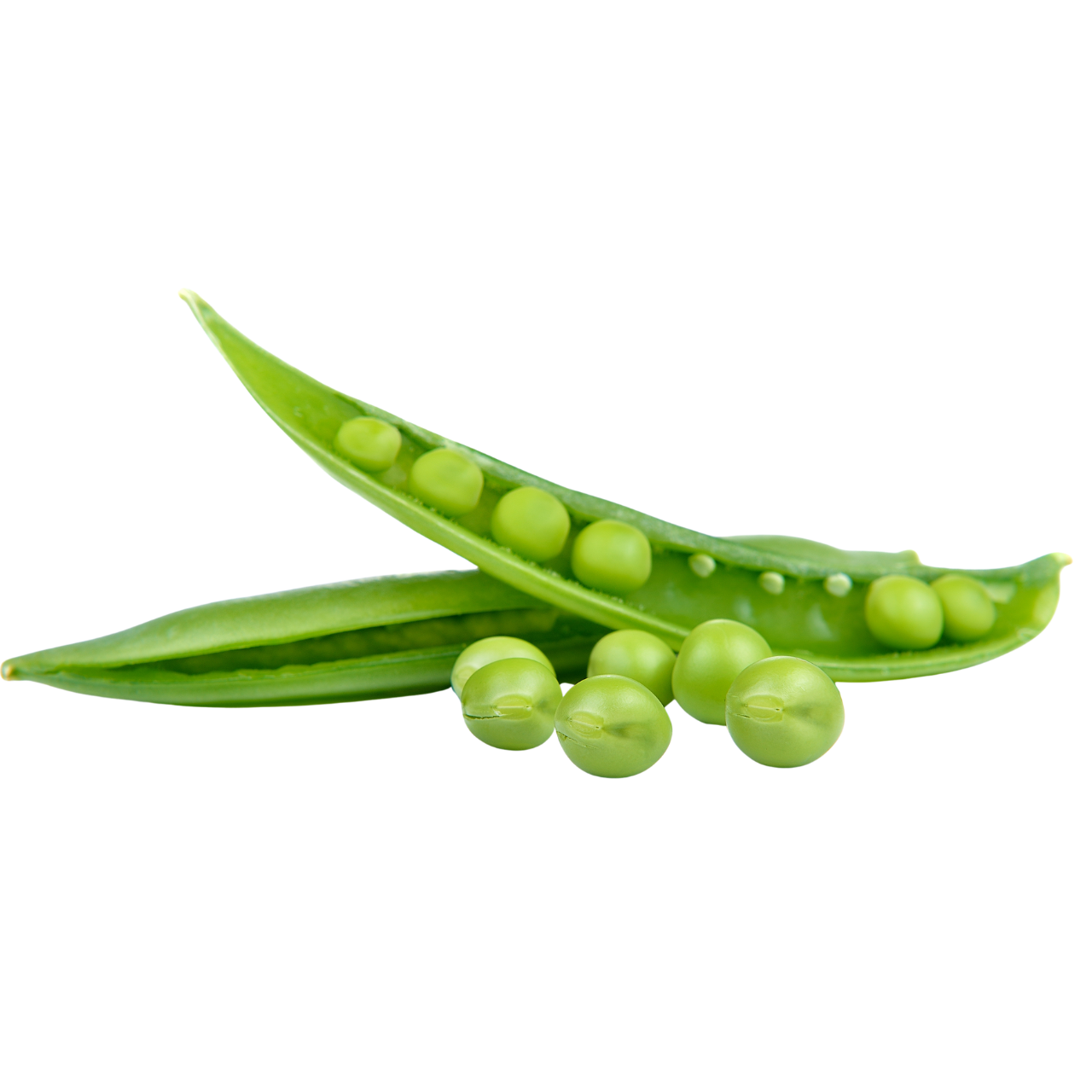 Peas sprout