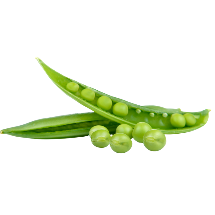 Peas sprout