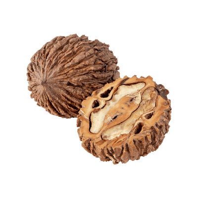 Black Walnut