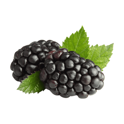 Blackberry