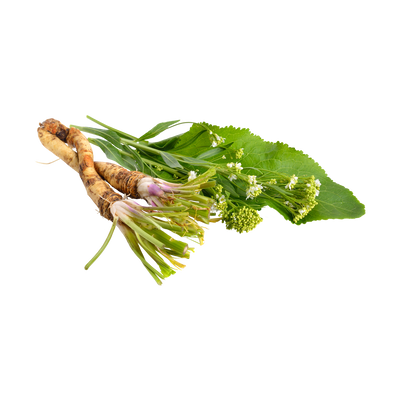 Horseradish