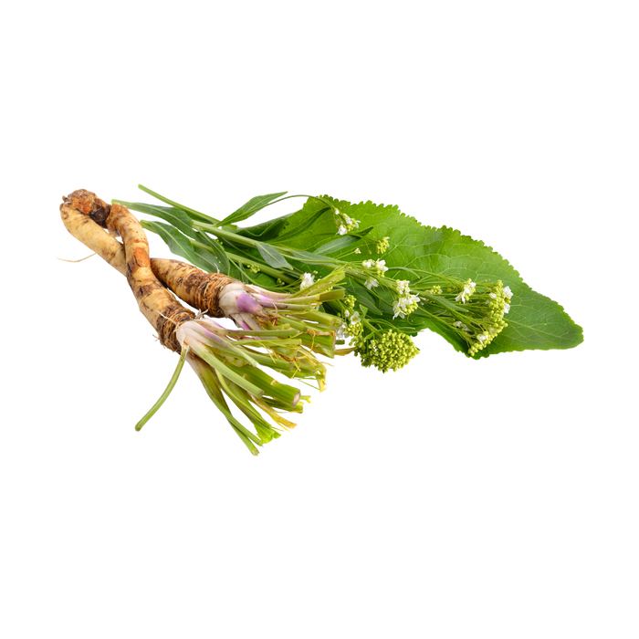 Horseradish