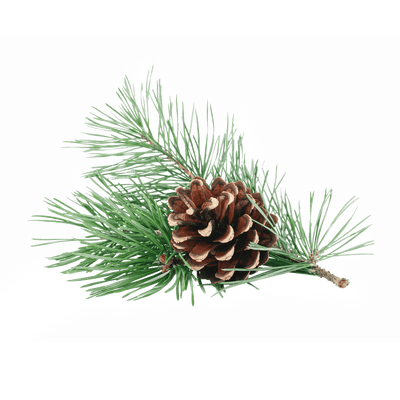 Pine Oil
