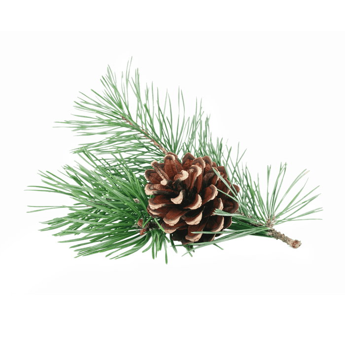 Pine Oil
