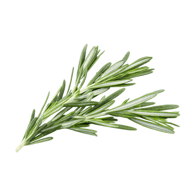 Rosemary