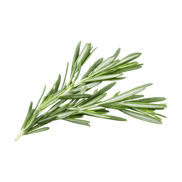 Rosemary